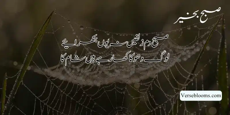 Good Morning Poetry in Urdu – Subah Bakhair Shayari, Dua & Wishes % Best good morning poetry in urdu