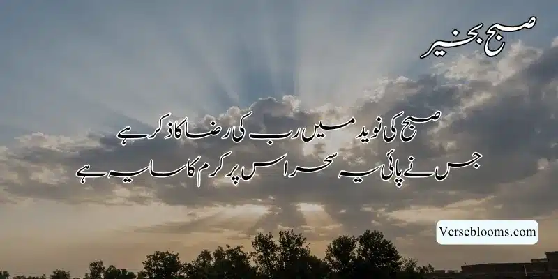 Good Morning Poetry in Urdu – Subah Bakhair Shayari, Dua & Wishes % Good morning islamic shayari text