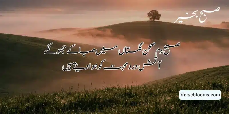 Good Morning Poetry in Urdu – Subah Bakhair Shayari, Dua & Wishes % Good morning poetry in urdu text