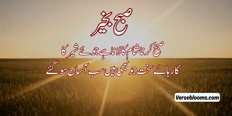 Good Morning Poetry in Urdu – Subah Bakhair Shayari, Dua & Wishes % Good morning poetry in urdu