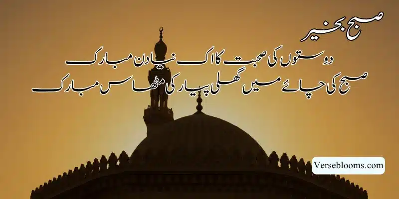 Good Morning Poetry in Urdu – Subah Bakhair Shayari, Dua & Wishes % Good morning shayari for friends in urdu