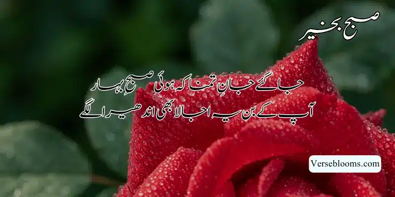 Good Morning Poetry in Urdu – Subah Bakhair Shayari, Dua & Wishes % Good morning shayari for lover 2 lines sms