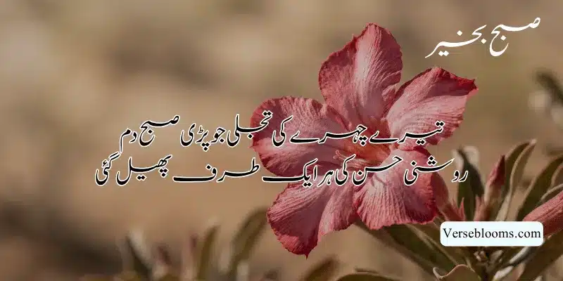 Good Morning Poetry in Urdu – Subah Bakhair Shayari, Dua & Wishes % Good morning shayari for lover in urdu