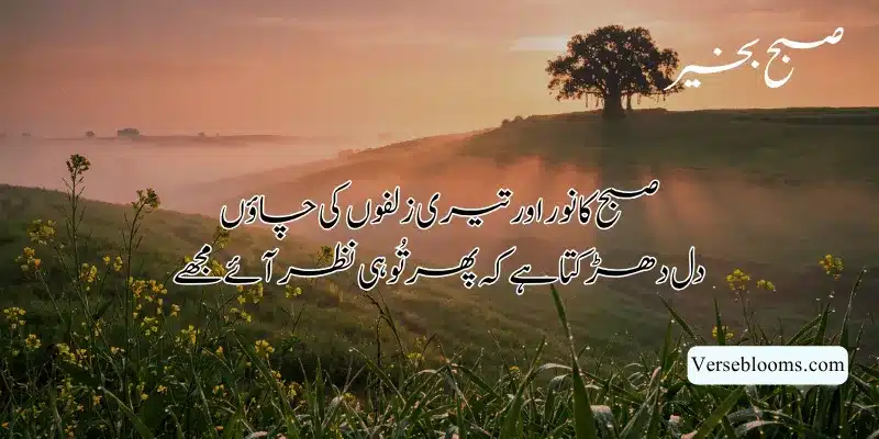 Good Morning Poetry in Urdu – Subah Bakhair Shayari, Dua & Wishes % romantic good morning shayari