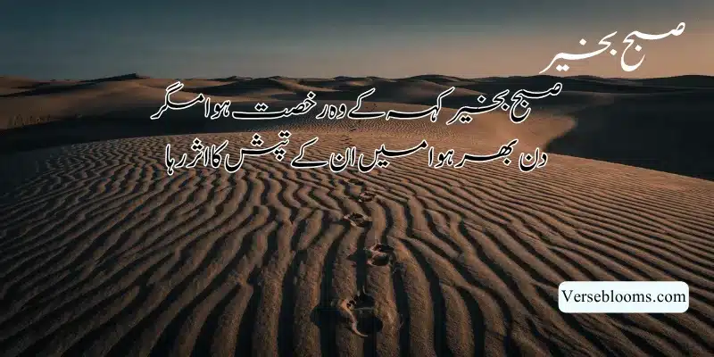 Good Morning Poetry in Urdu – Subah Bakhair Shayari, Dua & Wishes % Subah bakhair shayari copy paste