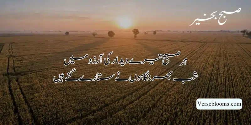 Good Morning Poetry in Urdu – Subah Bakhair Shayari, Dua & Wishes % Subah bakhair shayari text
