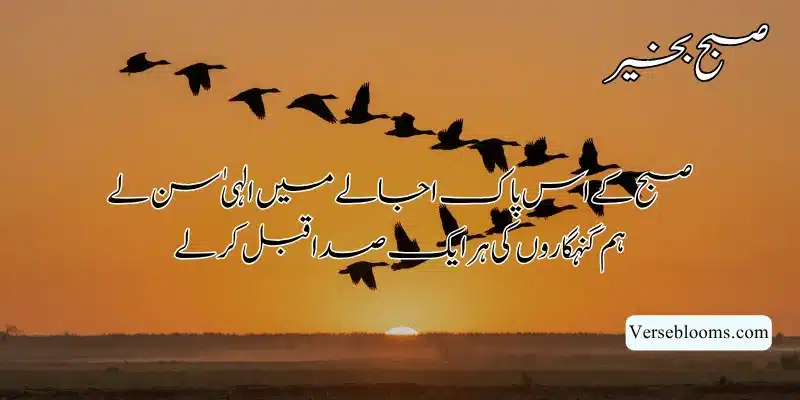 Good Morning Poetry in Urdu – Subah Bakhair Shayari, Dua & Wishes % Subah ki dua copy paste