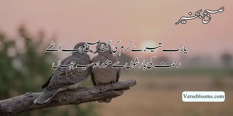 Good Morning Poetry in Urdu – Subah Bakhair Shayari, Dua & Wishes % Subah ki dua in urdu